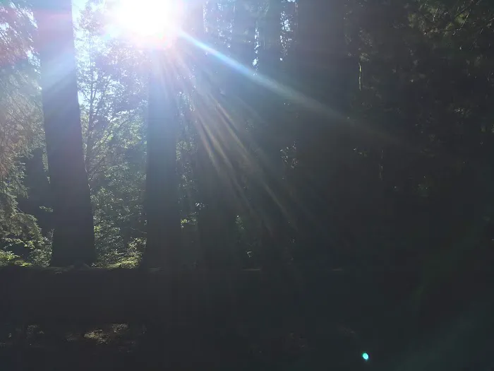 Big Timber Picture 7