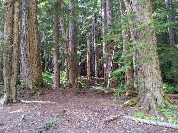 Big Timber Picture 10