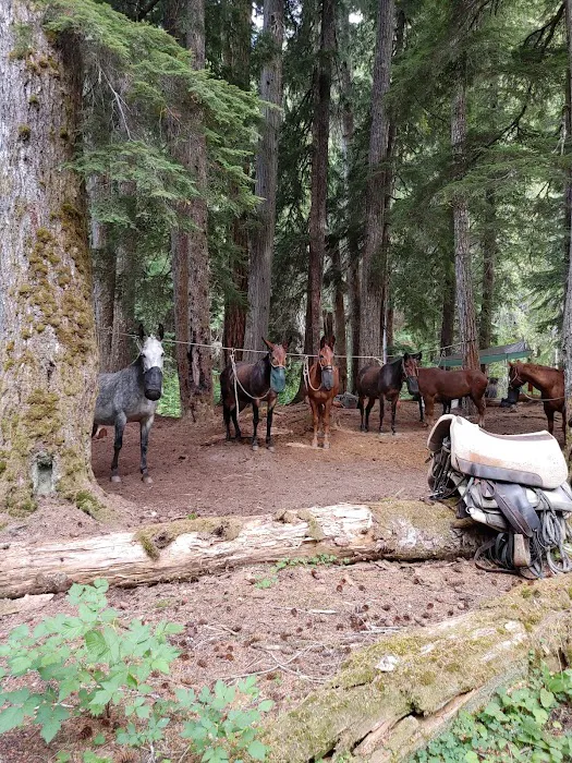 Diamond Meadows Picture 1