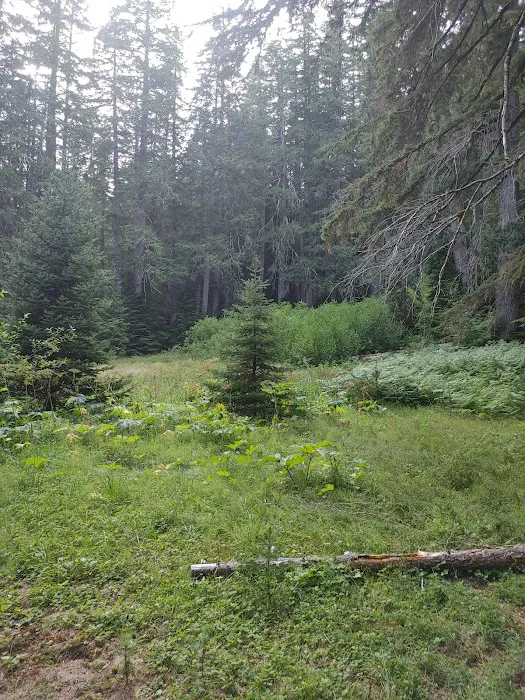 Diamond Meadows Picture 4