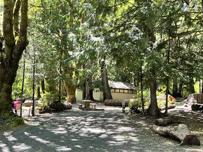 Potlatch State Park Campground Picture 3