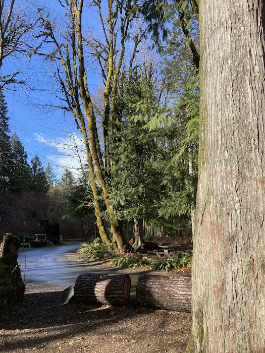 Potlatch State Park Campground Picture 6