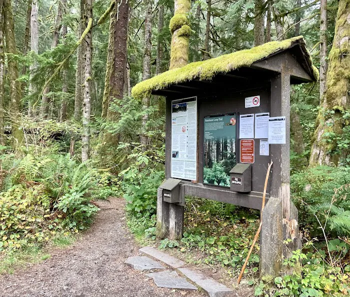 Carbon Glacier Trail Picture 5