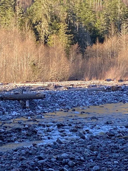 Carbon Glacier Trail Picture 7