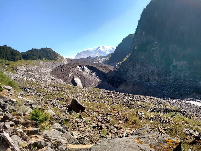 Carbon Glacier Trail Picture 9