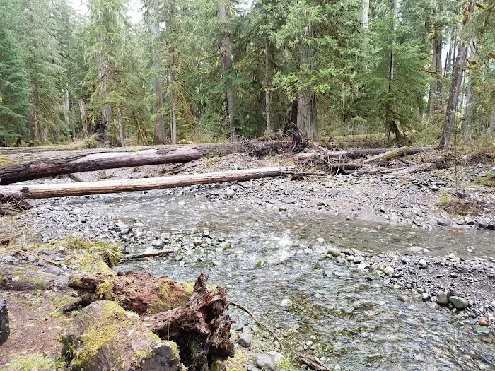 Carbon Glacier Trail Picture 10