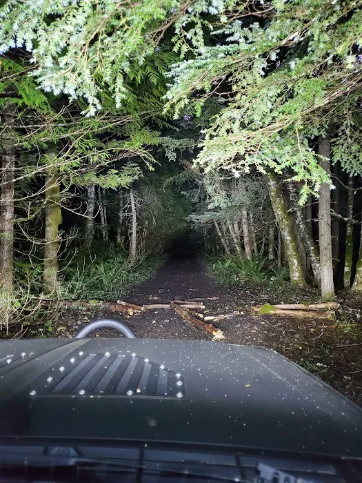 Evans Creek Campground Picture 5