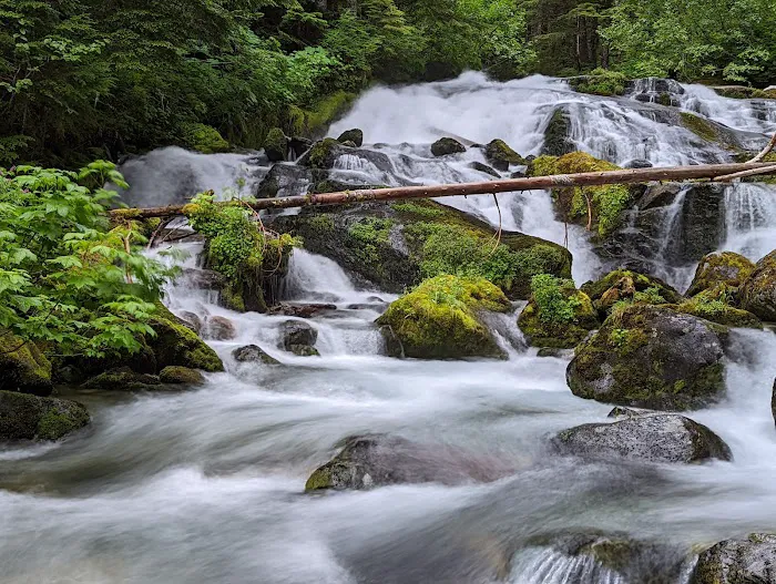 Carbon River Camp Picture 5