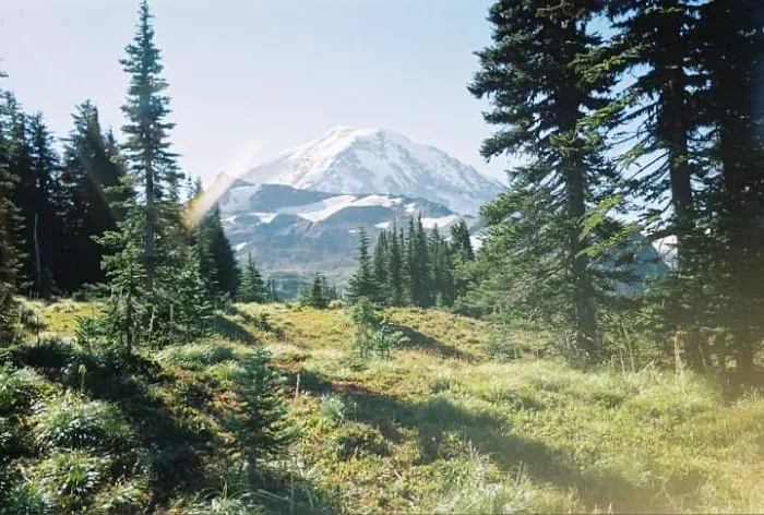 Carbon River Camp Picture 7