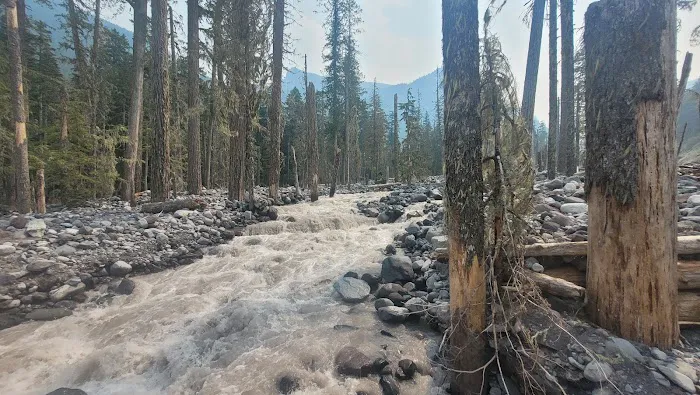 Carbon River Camp Picture 9