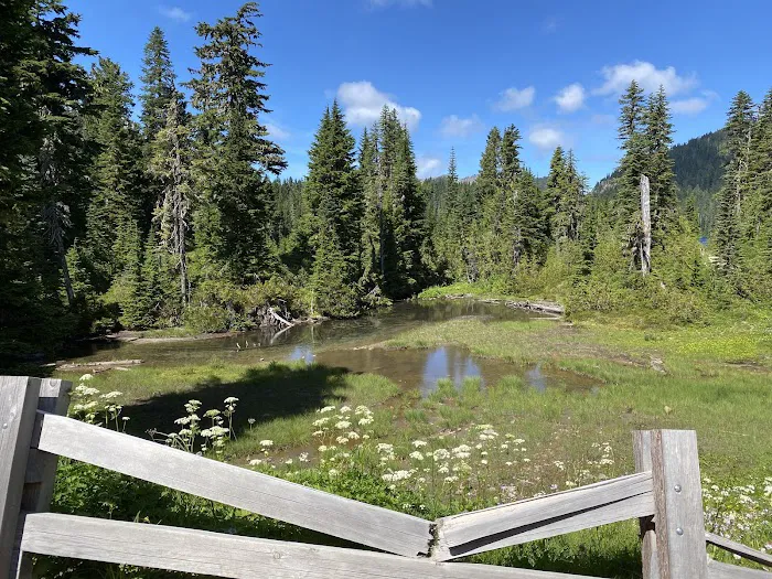 Mowich Lake Campground Picture 4