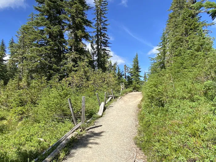 Mowich Lake Campground Picture 7