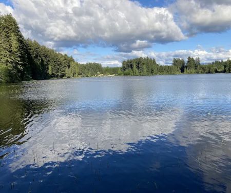 Millersylvania State Park Campground