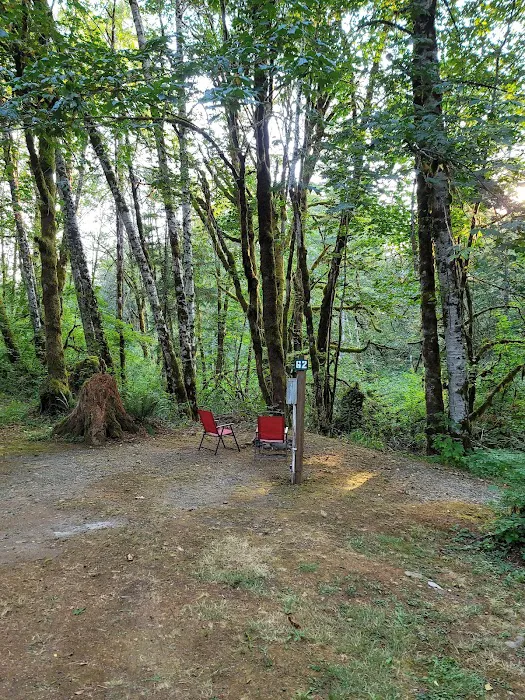 Dow Creek RV Resort Picture 6