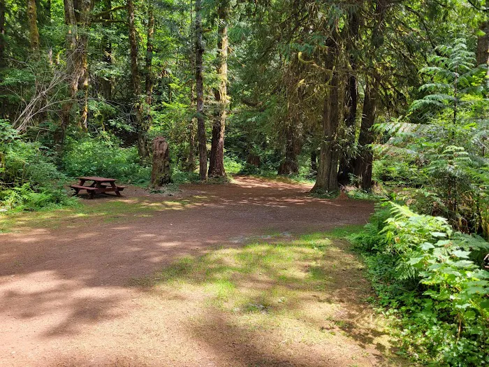 Dow Creek RV Resort Picture 4