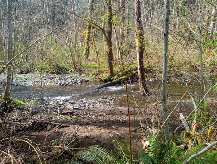 Dow Creek RV Resort Picture 8