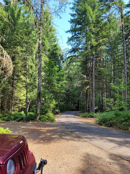 Dow Creek RV Resort Picture 9