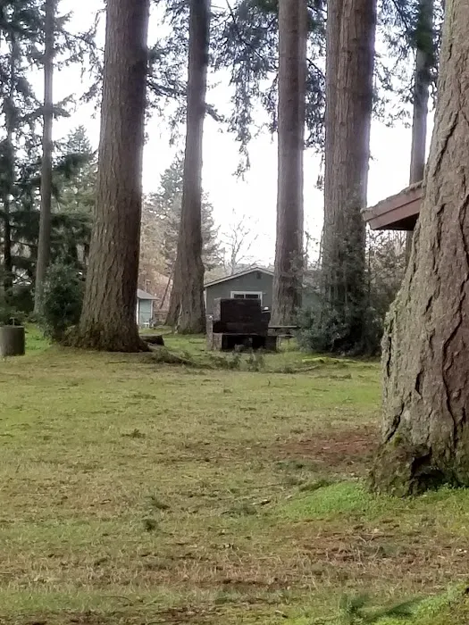 Tenino Quarry Campground Picture 4
