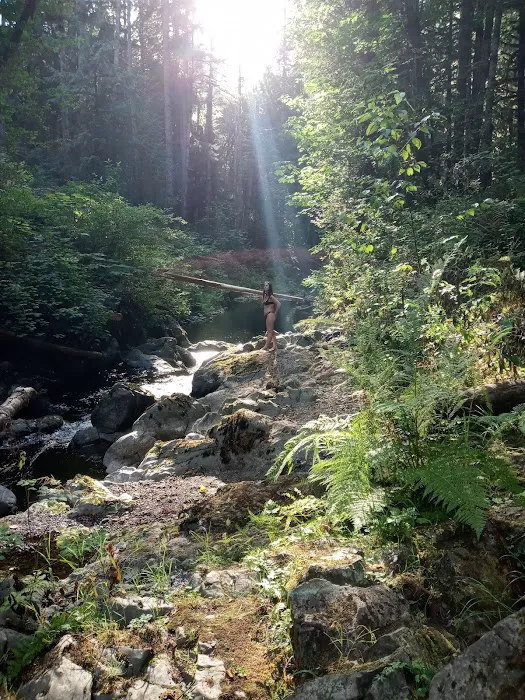 Porter Creek Campground Picture 5
