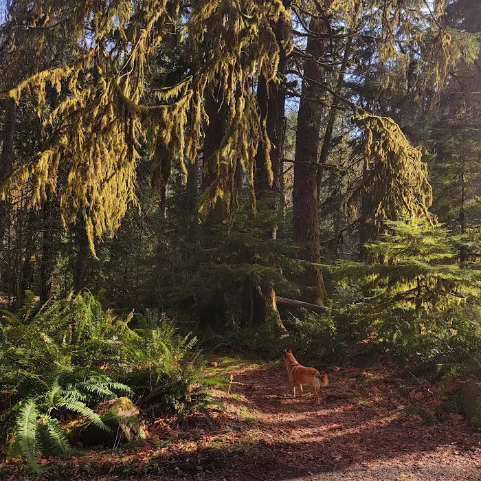 Porter Creek Campground Picture 6