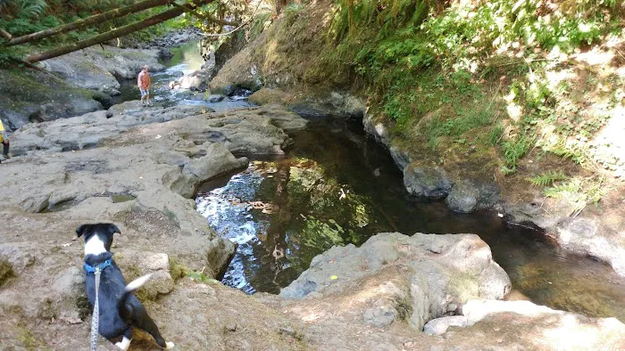 Porter Creek Campground Picture 9
