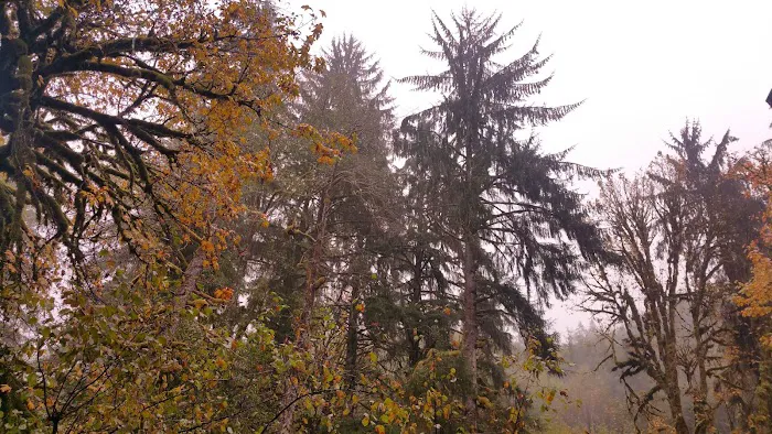 Porter Creek Campground Picture 10