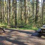 Fall Creek Campground