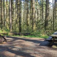 Fall Creek Campground ico