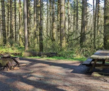 Fall Creek Campground