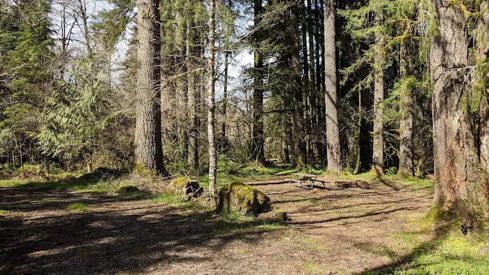 Fall Creek Campground Picture 3