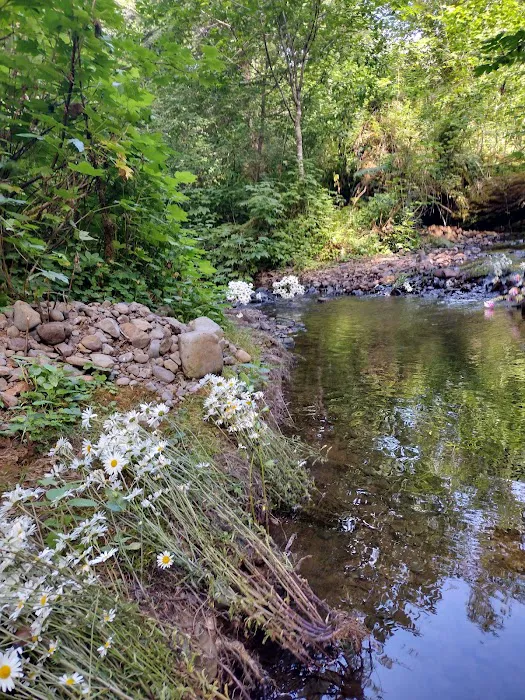 Fall Creek Campground Picture 6