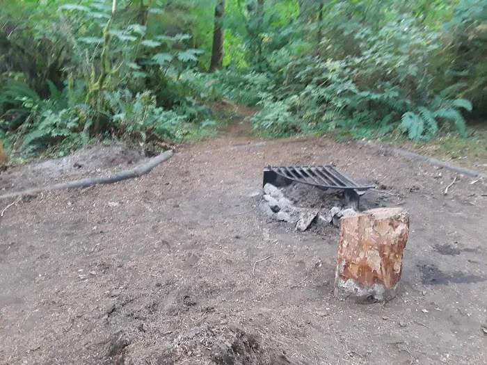 Fall Creek Campground Picture 10
