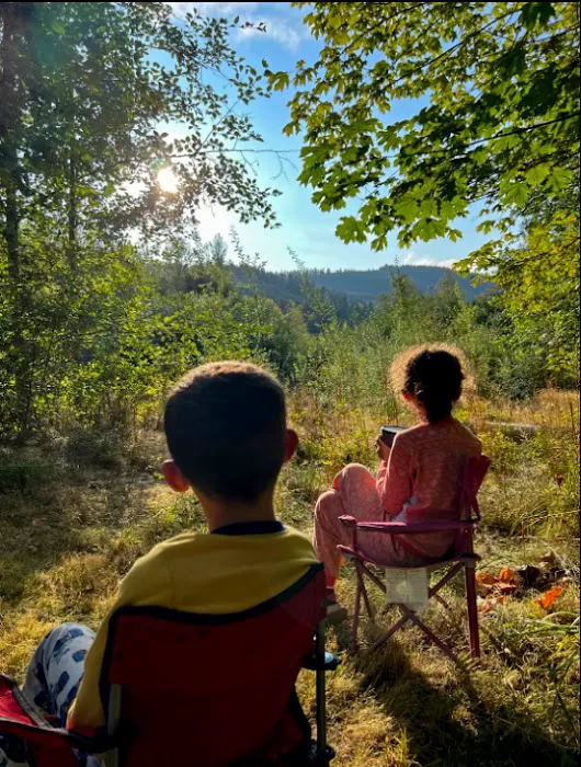queen bee camping Picture 6