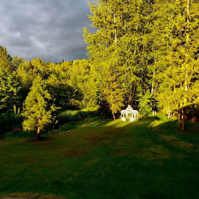 queen bee camping Picture 4