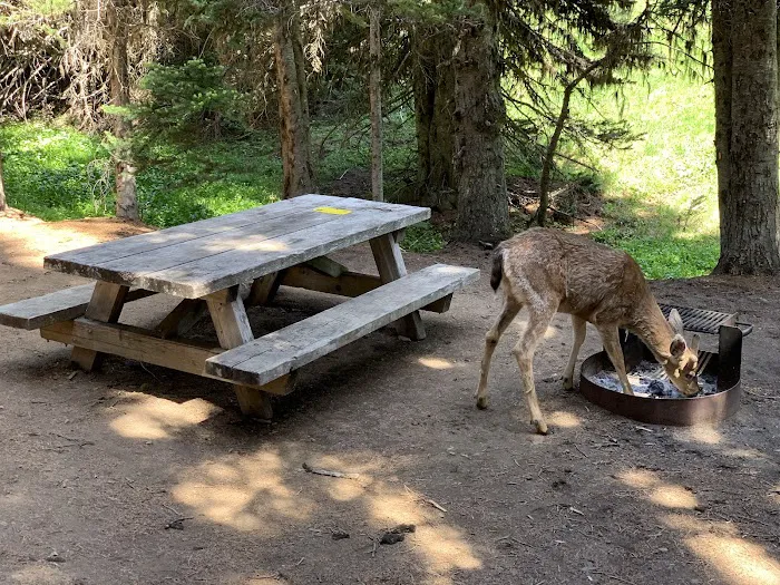 Deer Park Campground Picture 8