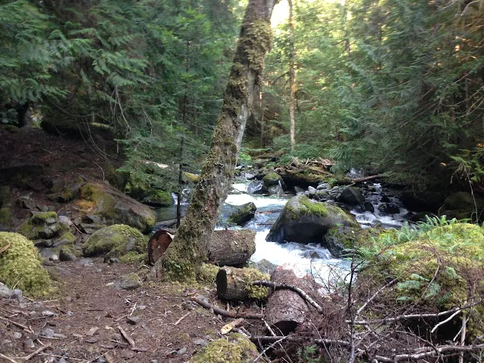 Three Forks Picture 2