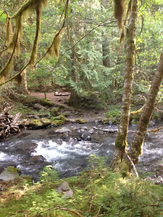 Three Forks Picture 4