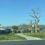 Lake Park Yorba Linda