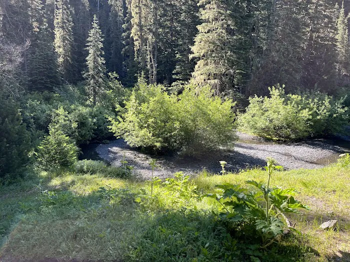 Falls Camp Picture 3