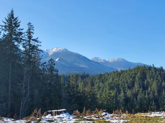 Frog Creek Meadow Picture 3
