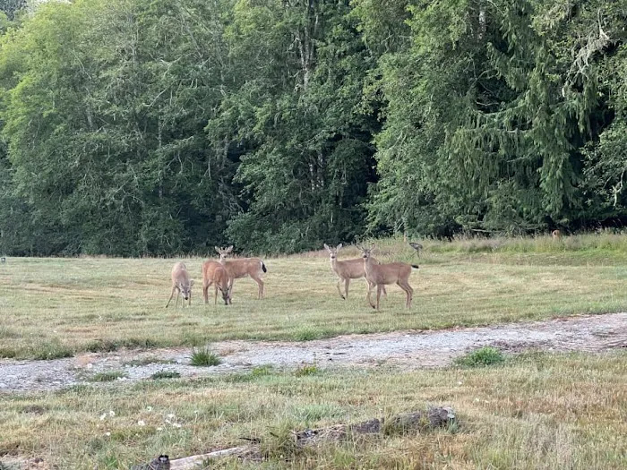 Frog Creek Meadow Picture 4