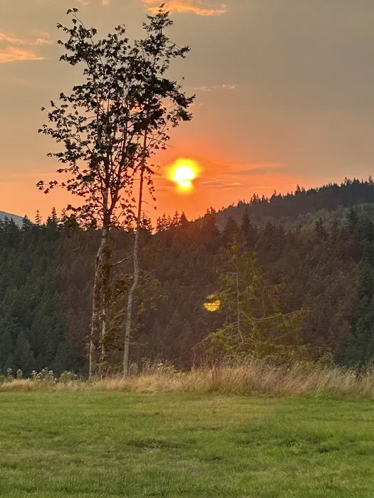 Frog Creek Meadow Picture 10