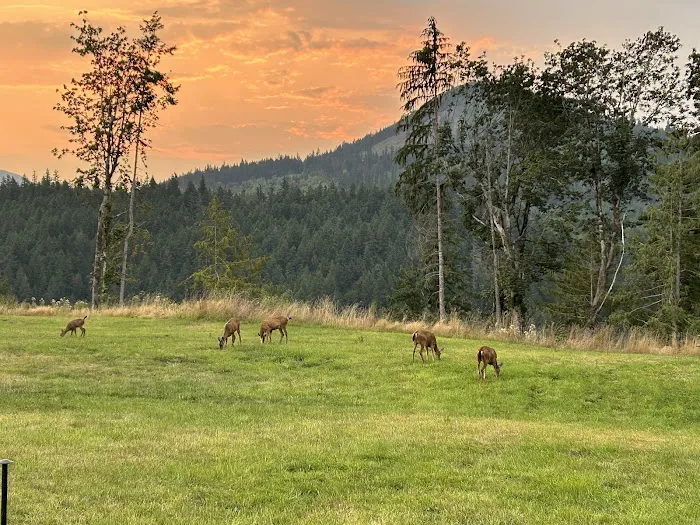 Frog Creek Meadow Picture 9