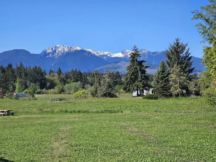 Salish Trails RV & Campground Park Picture 3