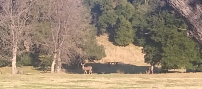 Blu Dude Mobile Home Park Picture 8