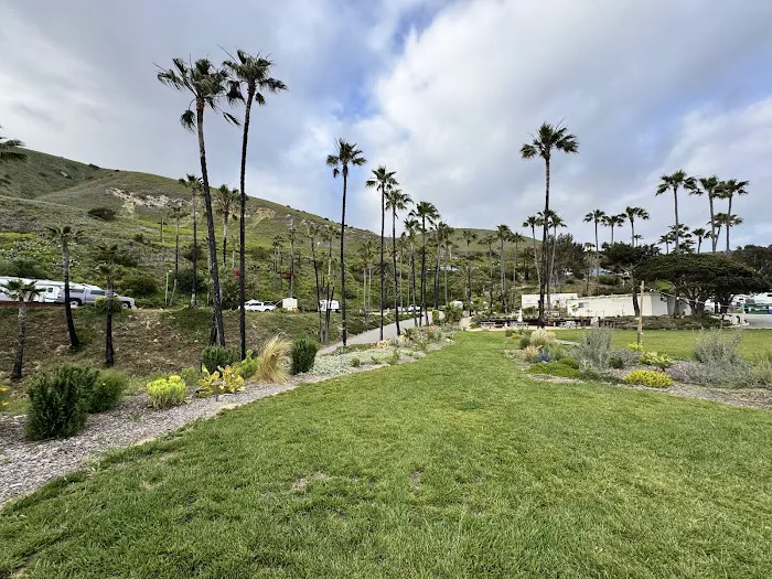 Surf Outpost - Malibu Campground Picture 3