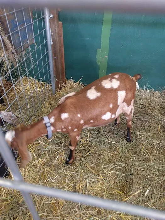 Jefferson County Fairgrounds Picture 9