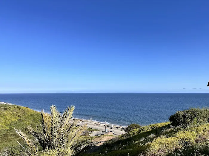 Malibu Beach RV Park Picture 4