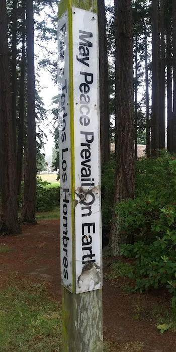 Fort Worden State Park Forest Campground Picture 10