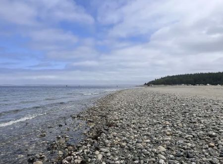 Lower Camp Area